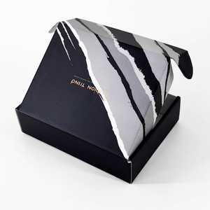 Scatola di Cartone Ondulato Nera <span class=keywords><strong>per</strong></span> Spedizioni Postali Personalizzata con Logo di Produzione Propria - Product Image 4