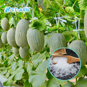 Polímero Superabsorbente Certificado ISO, Hidrogel, Resina SAP en Polvo para <span class=keywords><strong>Agricultura</strong></span> - Product Image 4