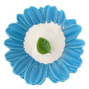 CYA20260316E Stabilisateur de piscine à l'acide cyanurique pour une protection au <span class=keywords><strong>chlore</strong></span> longue durée - Product Image 1