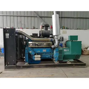 Ricardo Weifang 250 kW Silent Diesel Generator with All-Copper Brushless Motor 60Hz Three Phase Prime Power 312.5kva