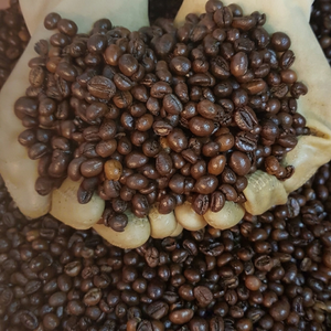 ขายส่งเมล็ดกาแฟโรบัสต้า อาราบิก้า คั่วสีเขียว ออร์แกนิค 100% ราคาโรงงาน กาแฟดิบ กาแฟแปรรูปพิเศษ +84928148271 - Product Image 1