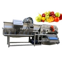 Hoe maak je goede, verse, diepvriesfruit en -groenten? Was-, blancheer-, koel- en IQF-verwerkingsmachinelijn.