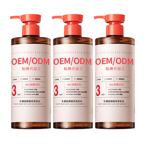 Shampoo anti-chute de cheveux au gingembre OEM, extrait de gingembre 6X, renforce les racines des cheveux, tous types de cheveux - Product Image 2