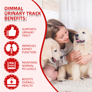 Diurético para mascotas Puxinuo en rodajas de arándano, suplementos nutricionales para gatos y perros, solución para infecciones del tracto urinario - Product Image 4
