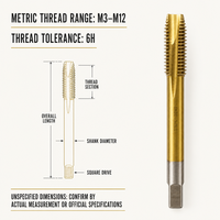 Tarauds métriques HSSE en cobalt et titane à pointe spirale M4-M8 pour le traitement des filetages internes en acier inoxydable