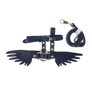 Güzel kanatları sevimli kanat zinciri entegre kolu sıcak satış lüks eğitim evcil hayvan koşumu tasmaları tasmalar özel köpek göğüs tasması seti - Product Image 6