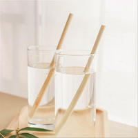 Pailles en bambou jetables écologiques modernes HUOHUOYOUMING 197 mm 6 mm Haute qualité Prix compétitif Direct usine