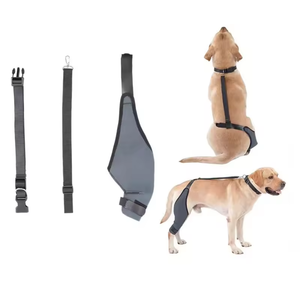 Rodillera Ortopédica OEM para Perros, Protección Profesional, Material <span class=keywords><strong>de</strong></span> Cuero, Cierre <span class=keywords><strong>de</strong></span> Hebilla Ajustable para Uso Deportivo y Gateo, Reduce la Presión - Product Image 2