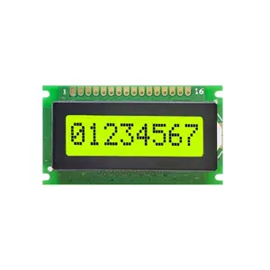 2024 אופי מפעל 8x1 LCD מודול FSTN STN מסך LCD 5V שחור תאורה מונו צבעוני תצוגת LCD