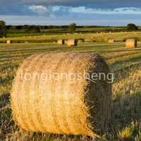 Wrap Net Bale/Hay Net Raschel Kett strick maschine Für die Landwirtschaft