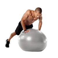 Zhensheng Logo personnalisé balle de yoga en PVC écologique Offre Spéciale accessoire d'exercice de gymnastique équipement de fitness pour l'exercice du corps