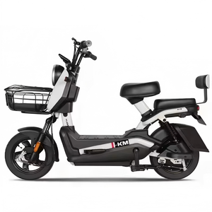 Bicicleta Eléctrica Urbana, 48V, Rueda de 14 Pulgadas, Batería de Plomo-Ácido de 20AH, Motor sin Escobillas de 350W/500W, 3 Velocidades, Suspensión Delantera, Frenos de Tambor - Product Image 3