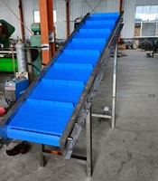Modulares Kettenförderband mit Schaufeln, Lebensmittelechter Kunststoff-Kettenaufzug für Obst- und Gemüseverarbeitung