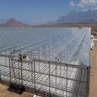 Serres agricoles en verre et métal de qualité supérieure largement utilisées pour l'agriculture