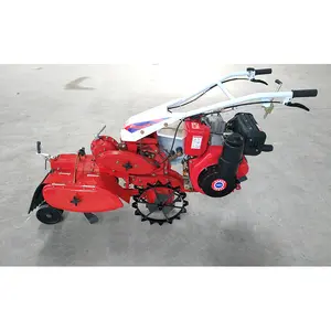 Mini Rode 4.1kw Kleine Bloem Bed Gas Powered Hand Helmstok Verschillende Farm Machines Gebruikt In Het Veld