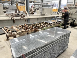 Losas de Granito Gris Claro Decorativas para Interiores y Exteriores - Product Image 3