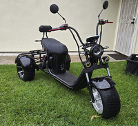Triciclo Eléctrico de 3 Ruedas para 2 Pasajeros, Diseño de Carrocería Abierta, Alto Rendimiento de 4000W