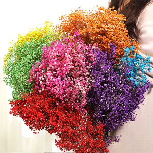 Vente en gros de fournitures de <span class=keywords><strong>fleuriste</strong></span> fleurs conservées souffle de bébé fleurs décoratives intérieures pour la décoration intérieure - Product Image 2