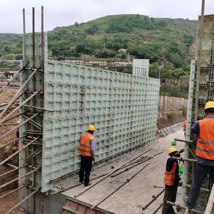 High-<strong>Quality</strong> Plastic-Steel Formwork: <strong>Top</strong> Construction Material, Easy-Connect Concrete Column <strong>Form</strong> - Product Image 2