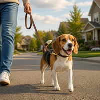 Laisse en cuir véritable tressée durable de 2 m, douce et confortable, résistante, pour toutes les saisons, pour chiens de taille moyenne à grande