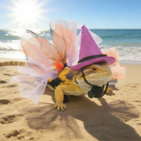 Chapeau d'Halloween doux FifiGo pour animaux de compagnie - Mini chapeau de sorcière avec jupe en filet pour lézards et petits animaux