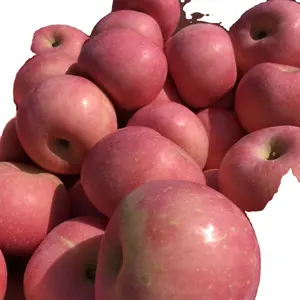 Manzanas de Gala frescas chinas/Manzana roja/Manzana Fuji Precio