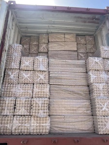 Portaoggetti in cartone per uova - Product Image 4