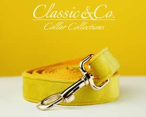 Collar y Correa Personalizados para Perro Veet Amarillo con Lazo Floral y Placa Grabada Silenciosa con Nombre, Regalo para Cachorros de Boda (Pequeño/Mediano/Grande) - Product Image 5