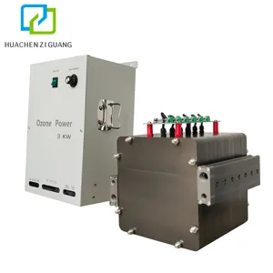 Générateur d'ozone à double plaque refroidie à l'eau Pièces et alimentation électrique Module générateur d'ozone O3 300g