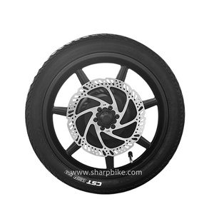 Roue de vélo avec moteur à moyeu en aluminium de 14 pouces, 36V 48V 500W, moteur sans balais à engrenages - Product Image 1
