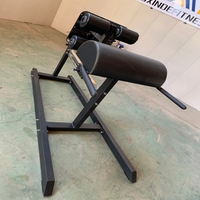 Équipement de fitness professionnel pour salle de sport : Machine de développement des gluteus et des ischio-jambiers (Hamstring Raise)