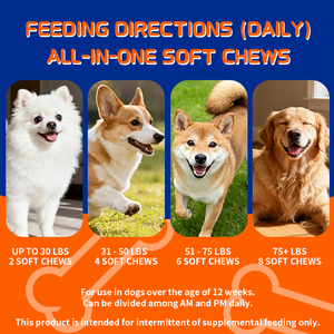 Suplemen kunyah Multivitamin untuk anjing Formula 12 in 1 tingkat manusia mendukung pertumbuhan anak anjing untuk kesehatan Senior diformulasikan dengan dokter - Product Image 5