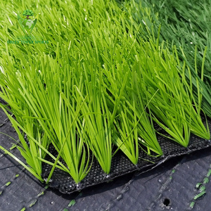 Erba Sintetica di Alta Qualità Resistente ai Raggi UV 50mm per Campi da Calcio all'Aperto - Product Image 2