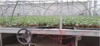 Film chauffant infrarouge de 50 cm de large, 220 W/m², pour l'incubation des semences agricoles et le séchage des aliments