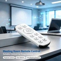 Control Remoto para Aire Acondicionado de 13 Teclas, Personalizado de Fábrica, OEM, ODM, Control Remoto para AC con Logotipo Personalizado, Botones con Carcasa Personalizada