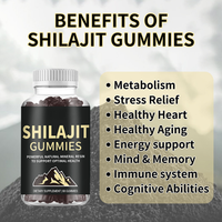 Gummies de Shilajit, Extrait de Shilajit Pur de l'Himalaya, Supplément de Shilajit, Algues Marines, Crinière de Lion, Ashwagandha
