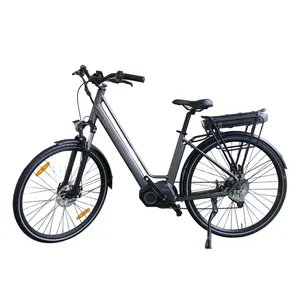 High-end alüminyum alaşımlı elektrikli bisiklet ile donatılmış Bafang M500 ve M600 motorlar ve Samsungbatteries