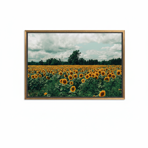 Sunflower Field Canvas Print: Vibrant Nature Landscape Artwork,GOLD <b>FRAMED</b> CANVAS - Product Image 2