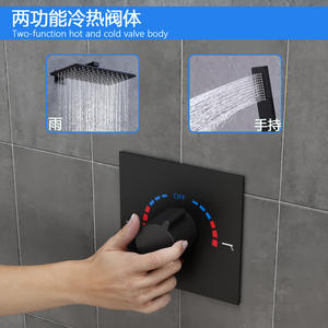 Disixindi Shower Set Stainless Steel Copper Hidden Valve Rainfall Handheld Matte Finish - Product Image 3