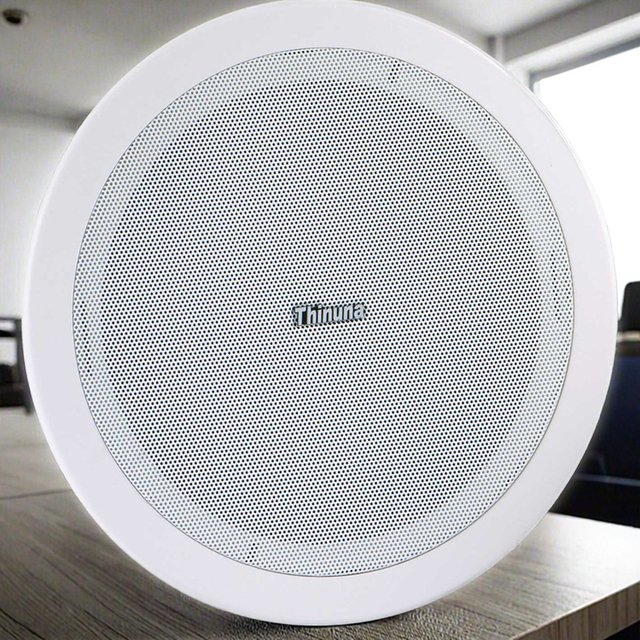 Thinuna CS-405A High-Quality Sound Easy Installation Speaker 6.5'' Dual Voice Coil Ceiling Speaker with Independent Mesh Cover