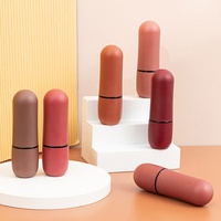 Rouge à lèvres exclusif transfrontalier en forme de balle, 12 couleurs, fini mat, longue tenue, hydratant, améliore le teint, fabricant