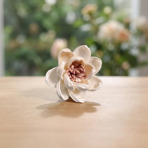 Wholesale 5 cm Sola Wood White Environmental Friendly Indoor Decorative Flowers Wedding Home <b>Reed</b> <b>Diffuser</b> Accessories 100 Pcs - Product Image 2