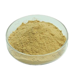 70% โอเลอโรพีน, ผงสารสกัดจากใบมะกอก 32619-42-2, สารต้านอนุมูลอิสระ - Product Image 1