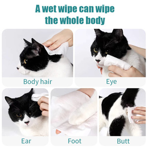 Toallitas Húmedas para Mascotas de Material Spunlace de <span class=keywords><strong>China</strong></span>, para Perros y Gatos de Todas las Edades, Desechables, Sin Perfume, Procesamiento en Fábrica, Personalizadas - Product Image 5