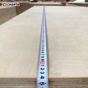 Contrachapado de abedul báltico al por mayor de 3 mm, 6 mm y 18 mm <span class=keywords><strong>S</strong></span>/<span class=keywords><strong>BB</strong></span> <span class=keywords><strong>BB</strong></span>/CP - Product Image 4