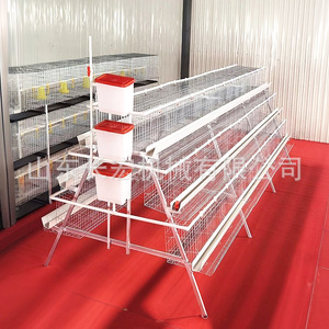Cage à poulets de type A en grillage métallique, équipement d'élevage automatique pour la volaille - Product Image 2