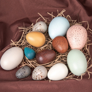 Children's DIY Miniature Landscape Decoration Wooden Bird <b>Egg</b> Pretend Play Easter Holiday Supplies <b>Toy</b> Cross-Border Simulation - Product Image 3