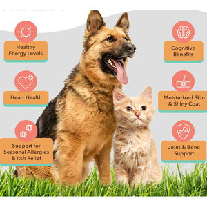 น้ำมันปลาแซลมอนสำหรับสัตว์เลี้ยง น้ำมันปลาแซลมอนจากอลาสก้าสำหรับสุนัขและแมว น้ำมันปลาแซลมอนเสริมโอเมก้า-3 - Product Image 4