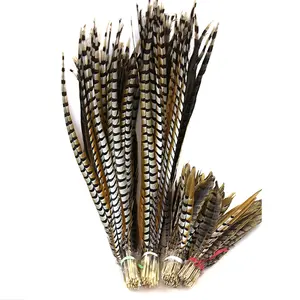 110-120cm Natural Lady Amherst Pheasant Feathers for Craft Long Top with Bird Reeves Venery Feather Carnival Plumes Decoration