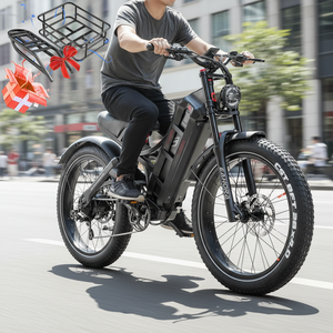 Vélo électrique tout-terrain à gros pneus 26*4.0, 48V250W, grande puissance, suspension intégrale, vélo électrique de montagne, vélo électrique pour la neige, vélo électrique avec certification CE - Product Image 1